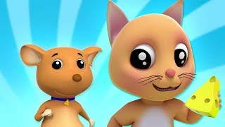 Squeak Squeak Mouse  Videos amp Songs For Babies  Nursery Rhymes For Babies  Kids Baby Club [upl. by Aibara864]