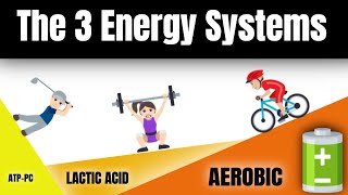 Aerobic System Aerobic glycolysiswmv [upl. by Ycal]