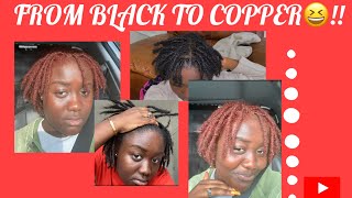 DYEING MY LOCS GINGERCOPPER NO BLEACH [upl. by Terces864]