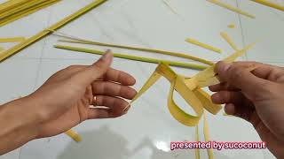 How to make a fish eating bird with coconut leaves [upl. by Nyladnor447]