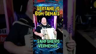 Sertanejo Bom Demais  Sanfoneiro Vermelho [upl. by Aymer755]