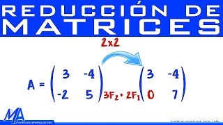 Reducción de matrices de 2x2 Método de Gauss [upl. by Nilad]