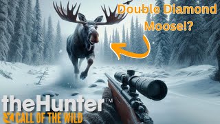 Double Diamond Moose  Level 5 Reindeer in Medved  Blind Shot  theHunter Call of the Wild [upl. by Marlette]