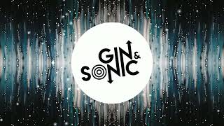 Tag Team  Whoomp There It Is Gin and Sonic Remix [upl. by Draude]