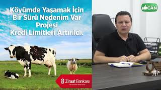 Köye dönmek için bir sürü nedenim var desteği ve diğer devlet destekleri [upl. by Neile]