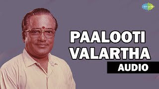 Paalooti Valartha Kili Audio Song  T M Soundarrajan Old Classic Hits [upl. by Anivlis]