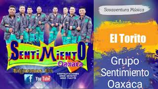 Grupo Sentimiento Oaxaca  El Torito  Estreno 2018 [upl. by Eilahtan]