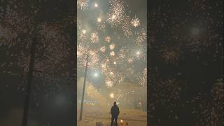 Gegen Feuerwerksverbote👊 silvesterfireworksvuurwerkfeuerwerksilvester2024shortsforyoufyp [upl. by Nossaj928]