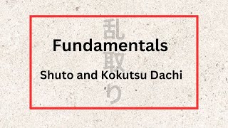 Fundamentals  Shuto and Kokutsu Dachi [upl. by Manton]