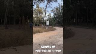 Inside Bouskoura Forest casablanca maroc travel forest nature [upl. by Hsreh522]