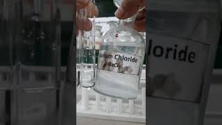 Barium chloride test for sulphate ion and Phosphate ion [upl. by Fortunia641]