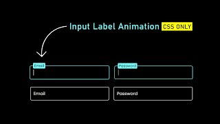 CSS Input Field Text Animation [upl. by Hollyanne559]