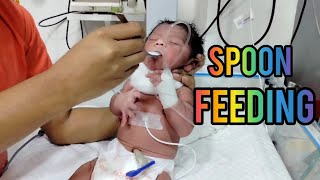 spoon Feeding For Newborn  Newborn feeding procedure  How To Feed Newborn Baby 🍼 viralvideo [upl. by Assilak]