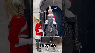 quotOrmonde vs Tristan The Grand Clash of Regal Horses  Who Enchanted the Audiencequot [upl. by Addy]