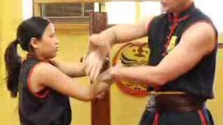 Wing Chun Sticky Hands Strikes  Chi Sau [upl. by Cissie751]