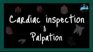 Cardiac inspection amp palpation OSCE guide عربي [upl. by Camarata]