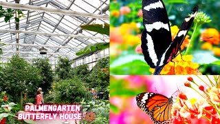 Experience the Beauty of Palmengarten Frankfurt  palmengarten schmetterlinghaus kids fun frankfurt [upl. by Adnirual]