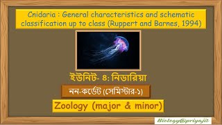 Meet the Cnidarians Characteristics amp Classification Simplified [upl. by Konrad]