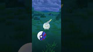 Caching a wild Togedemaru pokemon go pokemon pokemongo togedemaru [upl. by Llevart]