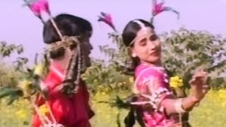 kanha Jabe Kochai Paan  कहाँ जाबे कोचई पान  Dilip Lahariya  Jiya Rani  CG Video Song Collection [upl. by Uzzi]