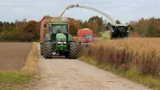 Majshøst på Nygaard i Trustrup 17 oktober 2010  Corn harvest [upl. by Ihcego]