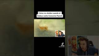 El rubius reacciona a consome panchi Tiktok [upl. by Noryd]