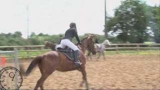 Equitation  Championnat de Vendée de Saut dObstacles 2011 [upl. by Northrup]