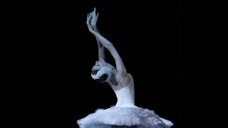 Svetlana Zakharova in The Dying Swan [upl. by Ikuy]