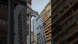 Yau Ma Tei 油麻地 hongkong 2092024 [upl. by Fidelity]