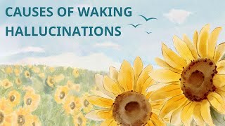 Causes of Waking Hallucinations [upl. by Buford198]