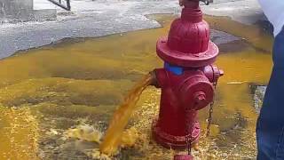 Hydrant Flush before gauge [upl. by Lirbij]