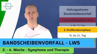 Bandscheibenvorfall Lendenwirbelsäule LWS  Heilung Teil 2 von 3 [upl. by Pownall]