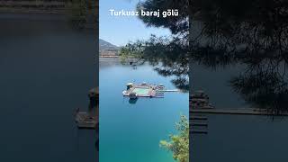 Turkuaz turkuaz music travel nature adventure shortvideo [upl. by Tomasine719]