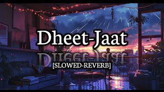 DheetJaat 20 Slowed Reverb  New Punjabi Song [upl. by Carlita]