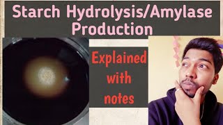 Starch HydrolysisBacterial Amylase ProductionFungiMechanismRohit Mane Scientistracademy [upl. by Adelice]