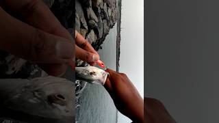 mid water jigging🔥😵with 15 grams jig😁💪 fishing jigging [upl. by Airemat]