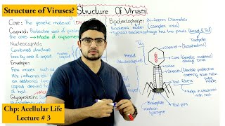 Structure of bacteriophage [upl. by Alban]