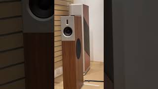 The Adelphi Show at Adelphi Mall audiophile hifi hometheater singapore travel travelvlog [upl. by Mcnally]