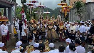 Katuran Ring Jagat Sulangai  Hari Ke 68 Mejaba Kuta  Rabu 23 Oktober 2024 [upl. by Marguerie]