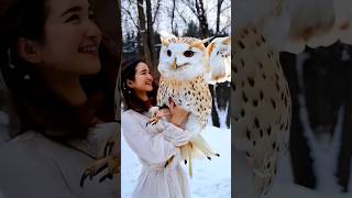 Reele bnari commercial use karri mera chitti funny owl ytshots shortsfeed mrowl owlery [upl. by Evalyn]