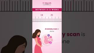 When should I see a gynaecologist for pregnancy gynecologistdubai pregnancyguide [upl. by Hanschen210]