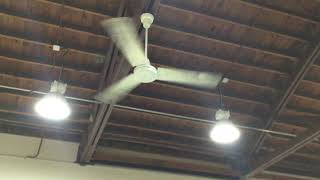 60” Dayton Leading Edge Ceiling Fans at Fligner’s Market Remake [upl. by Charie]