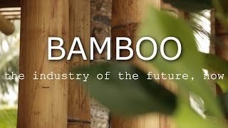 BAMBOO  The industry of the future now [upl. by Naols697]