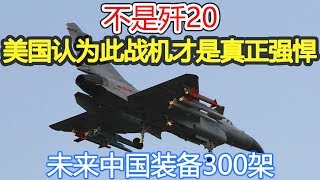 不是歼20，美国认为此战机才是真正强悍，未来中国装备300架 [upl. by Kamat]