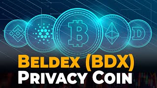 What is the Beldex BDX Privacy Coin [upl. by Koralle445]