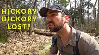 Hickory Creek Trail  Allegheny National Forest [upl. by Potash412]