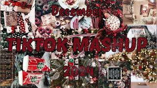 TikTok Mashup December 🧑‍🎄2024🧑‍🎄 Not Clean [upl. by Marba]