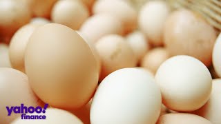 Why eggs are becoming more expensive according to Vital Farms CEO [upl. by Haduj]