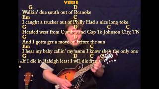 Wagon Wheel  Mandolin Cover Lesson in G with ChordsLyrics [upl. by Buschi]