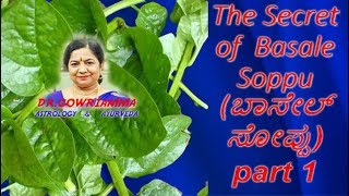 The Secret of Basale Soppu ಬಸಳೆ ಸೊಪ್ಪು part 1 IN KANNADA  Dr Gowriamma [upl. by Yekcor]